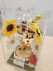 Clear Acrylic Jumping Spider Enclosure Terrarium Vent Holes Latch Door Bee Decor