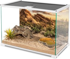 Blue Sky Oasis Terrarium Background – 48×24 Durable Polyester with Cactus Design