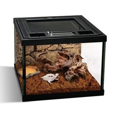 Mini Reptile Glass Terrarium Tank 8 * 8 * 6″ Full View, Amphibians Box Habita…