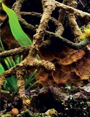 T-Rex Aquarium Décor – Aqua Root Small
