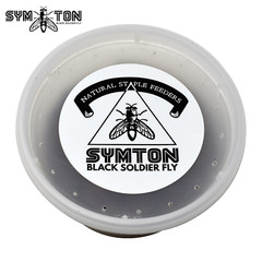 Reptile Food – LIVE Black Soldier Fly Larvae (Large)