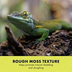 Zilla Rock Lair, Naturalistic Hide, Supports Shedding and Egg-Laying, Retains…