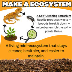 Combo Deal | 100+ Party Mix Isopods And 8oz Springtails | FREE SHIPPING!!