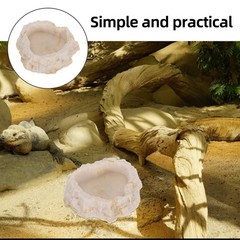 Reptile Feeder Bowl Chameleon Water Bearded Dragon Tank Accessories