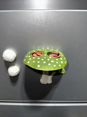 GREEN reptile magnetic mushroom feeder Ledge With Beer Savers Pack Of 48 Cups