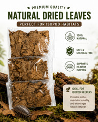 Natural Dried Oak Leaf Litter 100g for Isopods Springtails Terrarium Vivarium