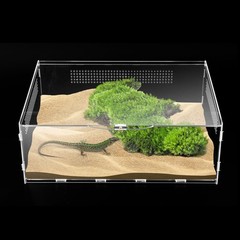 Micro Habitat Terrarium Enclosure, 6x11x16 inch Jumping Spider Enclosure with Lo