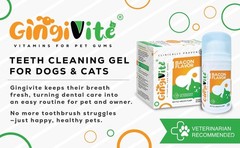 GINGIVITE Dog Teeth Cleaning Gel Vet Approved | Eliminate Plaque, Tartar Bad…