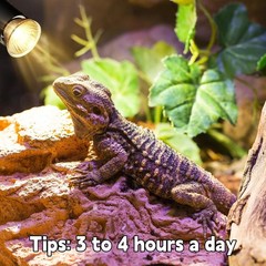 Reptile Heat Lamp, UVA UVB Heat Lamp Bulbs, E26 Turtle Heat Lamp Blubs 50W 4P…