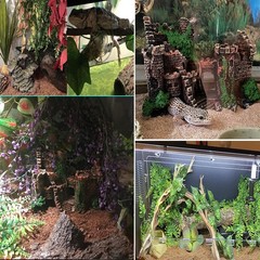kathson Bearded Dragon Tank Castle Decorations,Reptile Hammock Reptiles Habit…