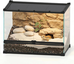 14 Gallon 20″X12″X14″ Professional Glass Terrarium, Dual Front Doors with Feedin