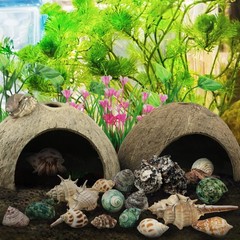 22 PCS Hermit Crab Supplies Natural Coconut Shell Hut Shells Plants