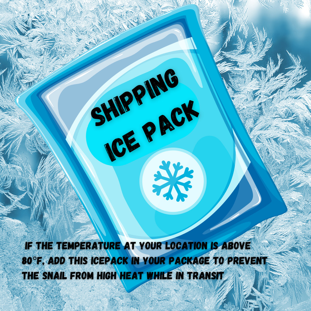 Shipping ICE PACK for Snails Orders Add on Only* Snaily Snail