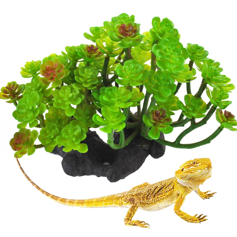 Reptile Plant Succulent,Artificial Plants Aquarium &Terrarium for Bearded Dra…