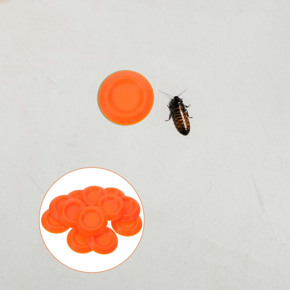 12 Pcs Feeder Small Animal Bowl Insect Enclosures Food Dishes