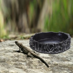 Reptile Bowl Wear-resistant Water Dish Decorative Water Bowl Reptile Accessory