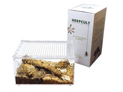 Herpcult Acrylic Reptile Terrarium Gecko Spider Vivarium Enclosure Large Flat