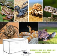 Acrylic Reptile Enclosure 8x4x4in for Tarantulas Lizards Spiders Isopods