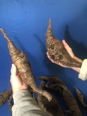 Reptile Succulent Air Plant Orchid Vivarium Bioactive Isopod Terrarium Wood 16lb