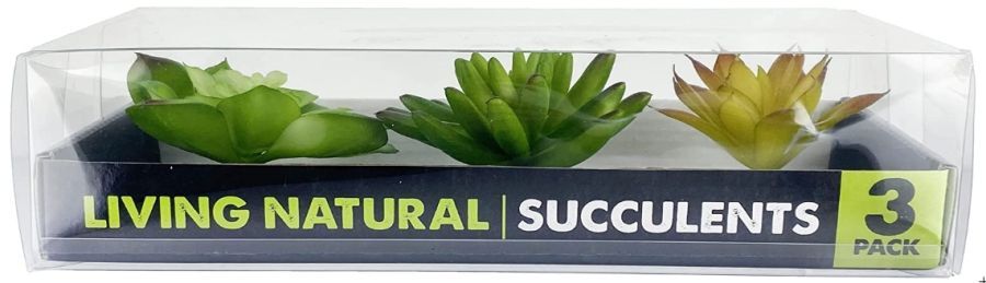 Reptile, Komodo Succulent Plant Habitat Ornaments (3 count)