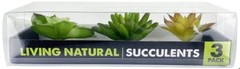 Reptile, Komodo Succulent Plant Habitat Ornaments (3 count)