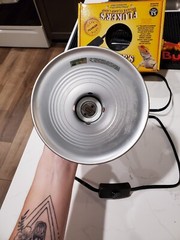 Flunker’s heat lamp clamp on fixture with 60w ceramic bulb