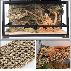 Tfwadmx 3 Pack Bearded Dragon Hammock Lizards Lounger Reptile Climbing Access…