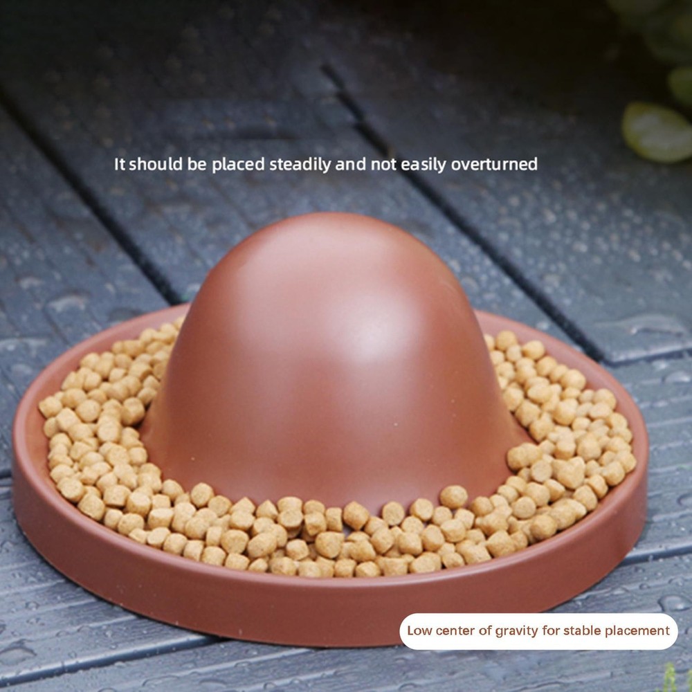 Reptile Feeding Dish Tortoise Food Dish for Bearded Dragon Tortoise