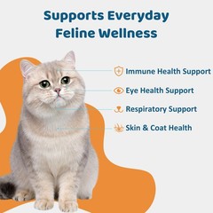 L-Lysine for Cats Oral Paste – Immune & Respiratory Support Felines Brown