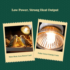 Screw-in electric heat bulb
