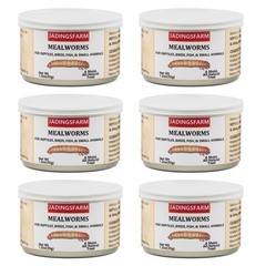 6 Pack Canned Mealworms for Reptiles, Fish, Birds and Small Animals, Meal Wor…