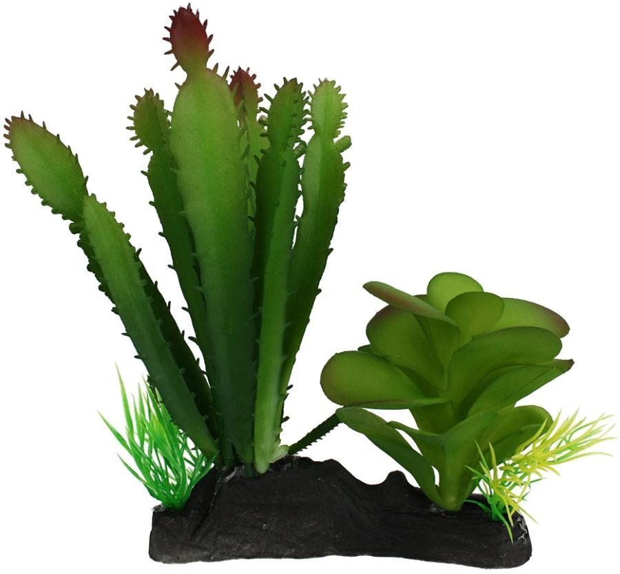 Reptile, Komodo Succulent and Cactus Habitat Ornament (1 count)