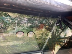 20 gallon terrarium with accessories