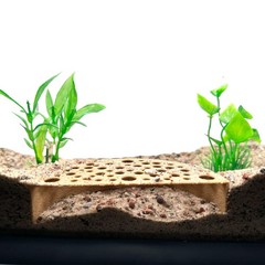Shrimp Breeding Protector | Shrimp Breeding Cave Aquarium Tunnel | (Light Brown)