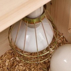 Reptile Heat Lamp Guard Heating Lamp Holder Portable Convenient Multifunctional