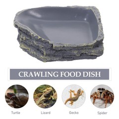 Turtle Feeding Bowl Leopard Gecko Water Food Dish for Reptile Tank Tray