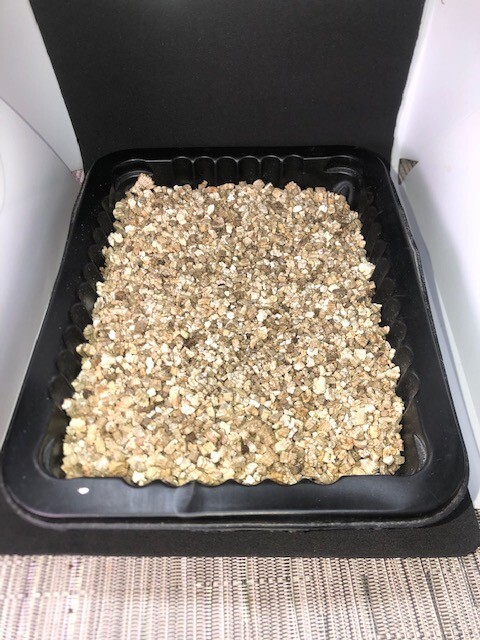 Organic Sterile Vermiculite for Terrariums Planting and incubators