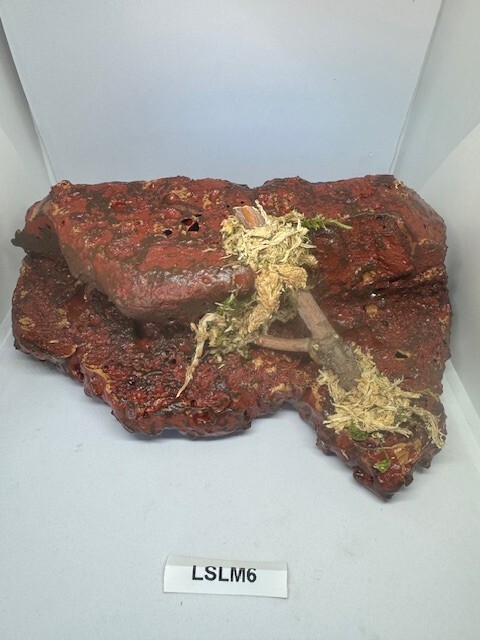 Magnetic Rock Ledges For Terrariums And Cages (Limited Edition) Medium LAVA