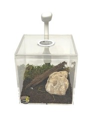Vented Acrylic Vivarium Enclosure 4″ White Vent Small Clear Terrarium Habitat