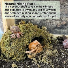 Green Coconut Leopard Gecko Hide Reptile Cave Tank Accessory