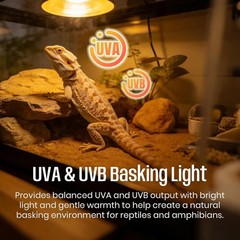 Durable 50W UVA UVB Bulbs – 4-Pack for Reptiles, App-Controlled Brightness