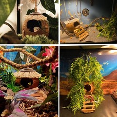 MUYG Gecko Coconut Hideout with Ladder,Reptile Hammock Plants Vines Brown