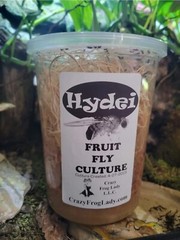 Fruit Fly Culture 8Pack Variety Live Flightless Turkish Gliders Golden and Hydei