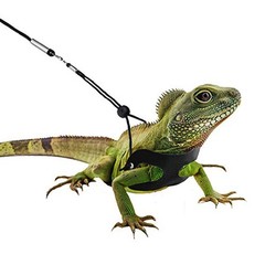 3Pcs Reptile Lizard Harness Durable Black Pet Leashes for Small Pets