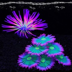 2pcs Silicone Glowing Effect Aquarium Fish Tank Decorations, Artificial Soft …