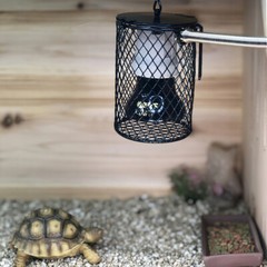 Reptile Lampshade Pet Cage Lampshade Shell Light Cover Tank Supply Anti-Scalding