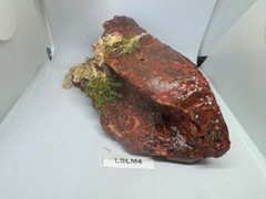 Magnetic Rock Ledges For Terrariums And Cages (Limited Edition) Medium LAVA