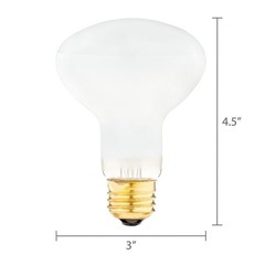 100W Basking Bulb Reptiles Infrared Heat Light Terrarium Lamp Indoor Use