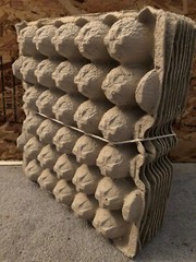 10 Pack Egg Crates Flats Great For Roaches Crickets Lizard Reptile Gecko Frog