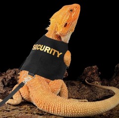 Bearded Dragon Harness and Leash-Bearded Dragon Clothes Lizard Accessories Stuff